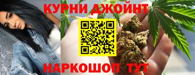 сатива Камышлов