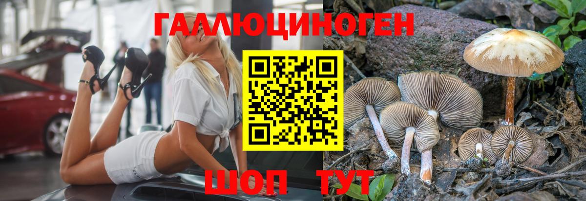 Лесосибирск  Псилоцибиновые грибы Magic Shrooms  Вход с VPN 